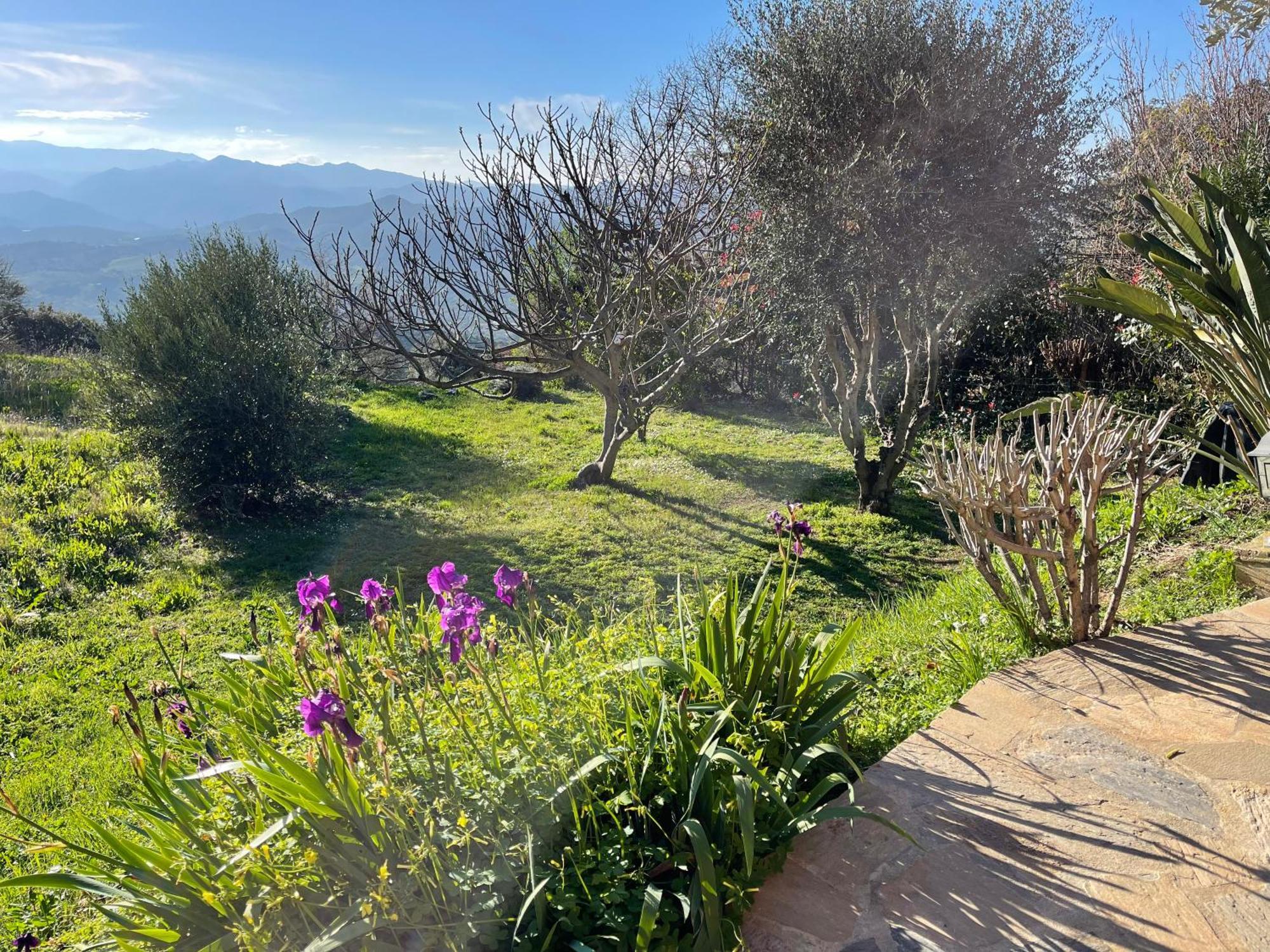 Carpediem_Corsica Poggio-d'Oletta Exteriér fotografie