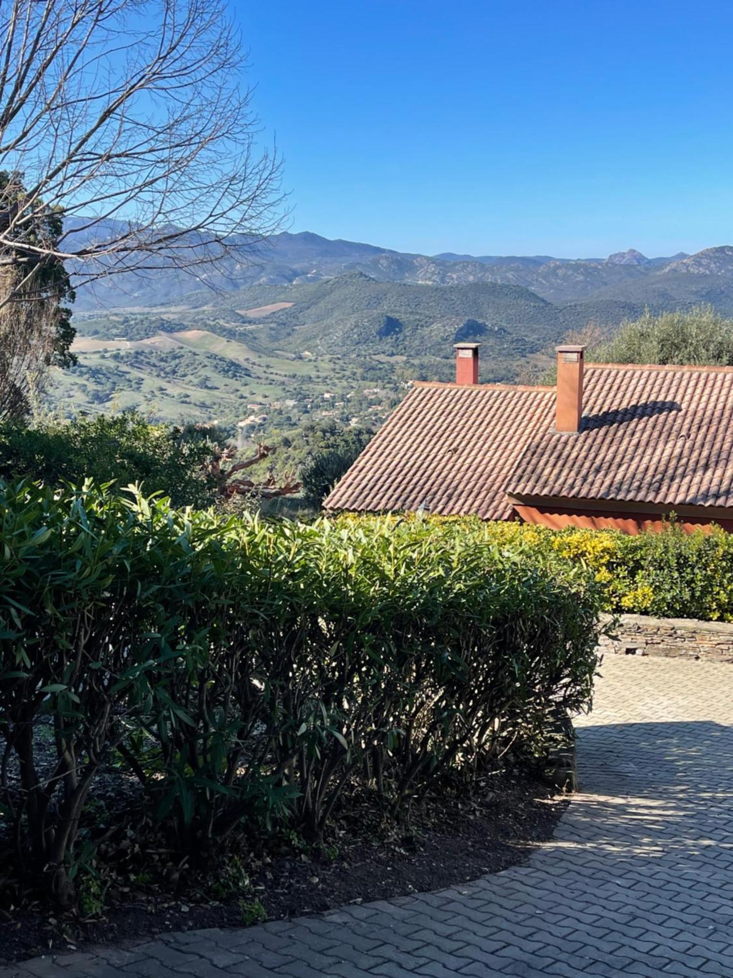 Carpediem_Corsica Poggio-d'Oletta Exteriér fotografie