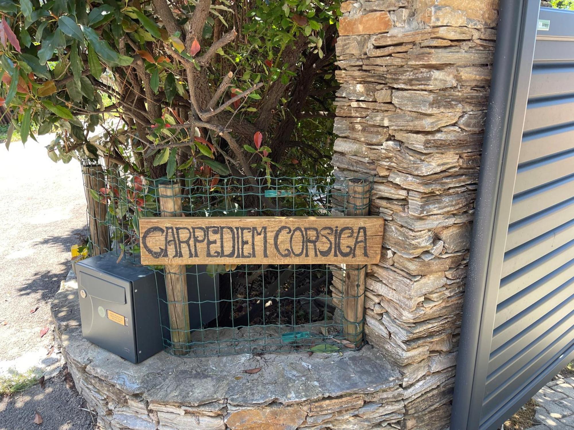 Carpediem_Corsica Poggio-d'Oletta Exteriér fotografie